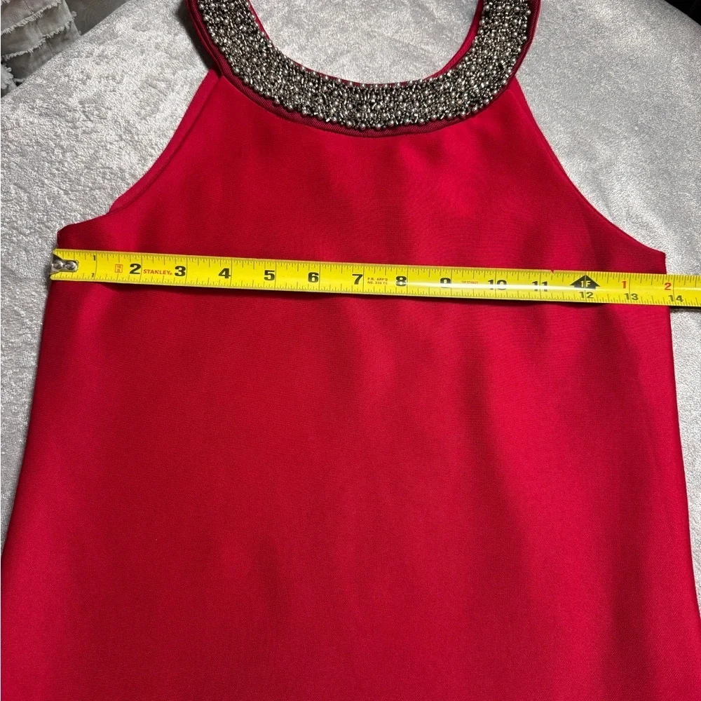 Xtraordinary Scarlet Dress with Glittering Silver Trim